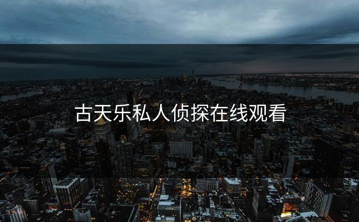 古天乐私人侦探在线观看
