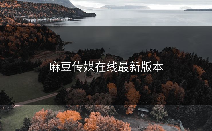 麻豆传媒在线最新版本