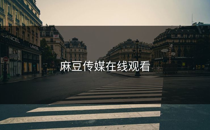 麻豆传媒在线观看