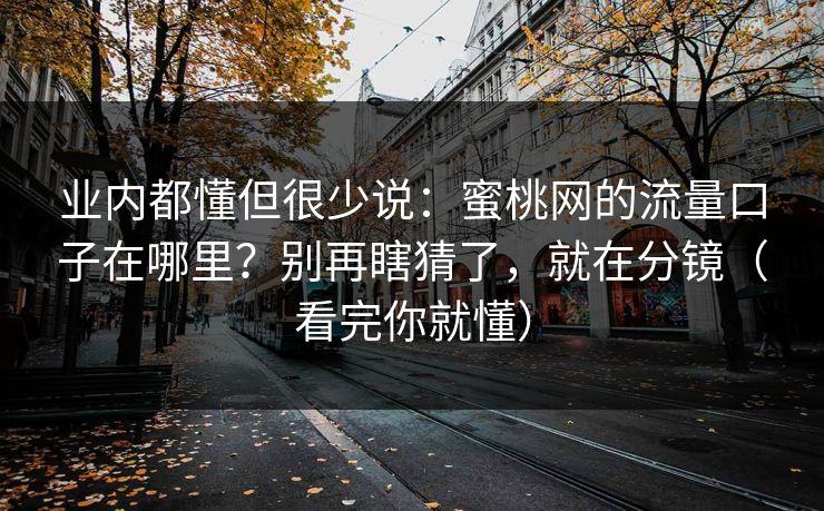 业内都懂但很少说：蜜桃网的流量口子在哪里？别再瞎猜了，就在分镜（看完你就懂）